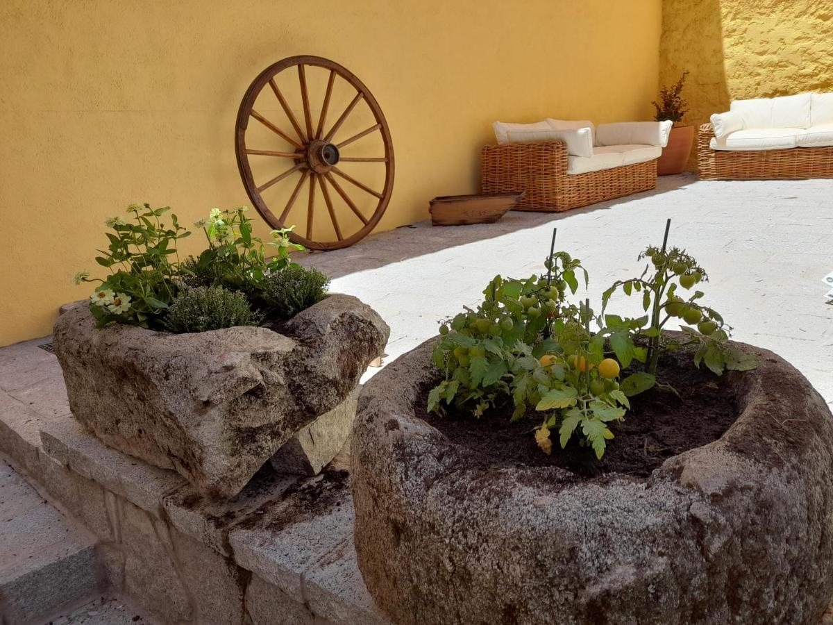 Casa Rural Del Tio Maino Becerril de la Sierra Dış mekan fotoğraf