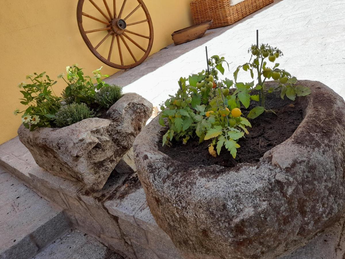 Casa Rural Del Tio Maino Becerril de la Sierra Dış mekan fotoğraf